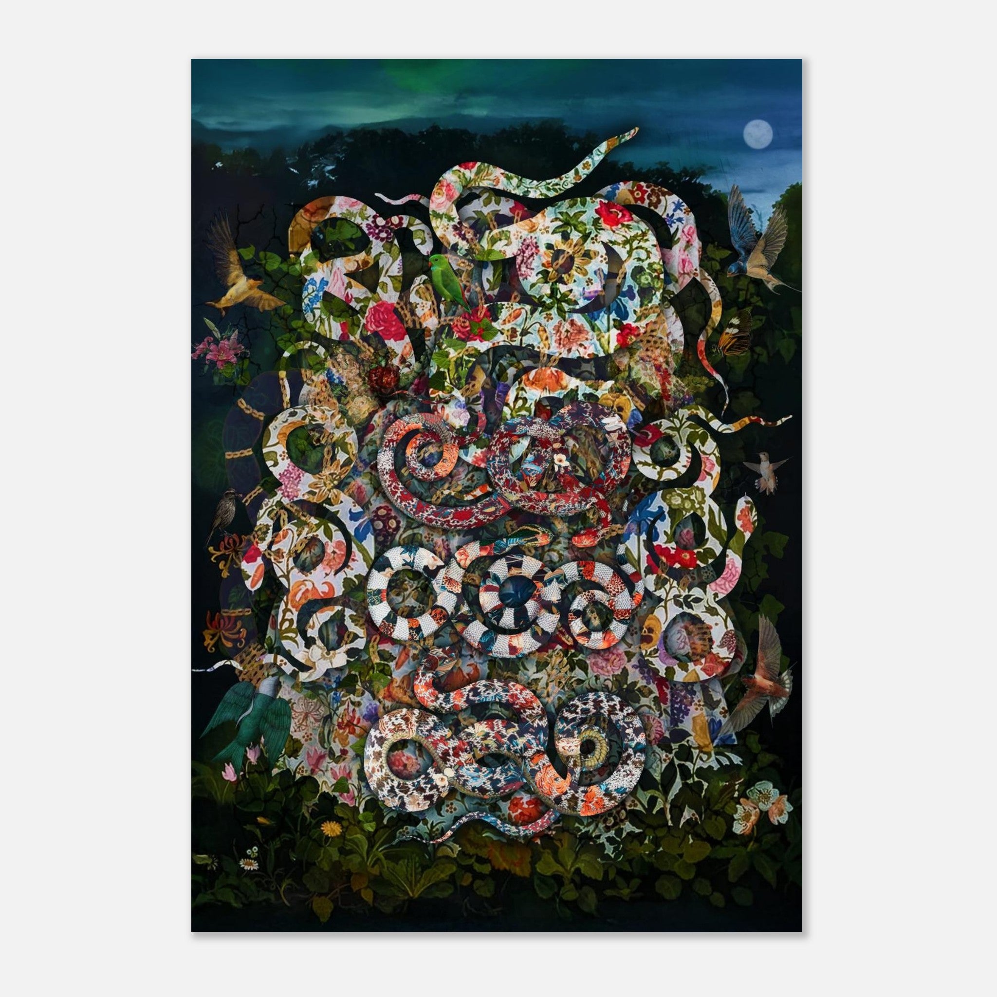 10c8126a-736c-4dac-b451-68b4ba540248