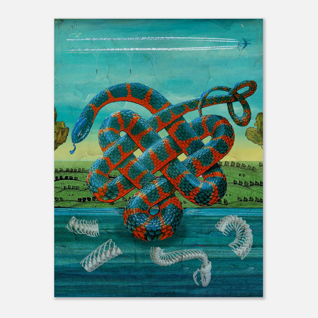 51d59db6-6a22-435a-b643-0fc9d1041828