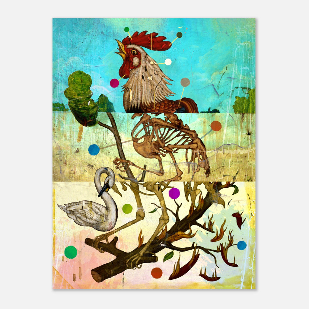 Exquisite Cockerel: Bob Holmes