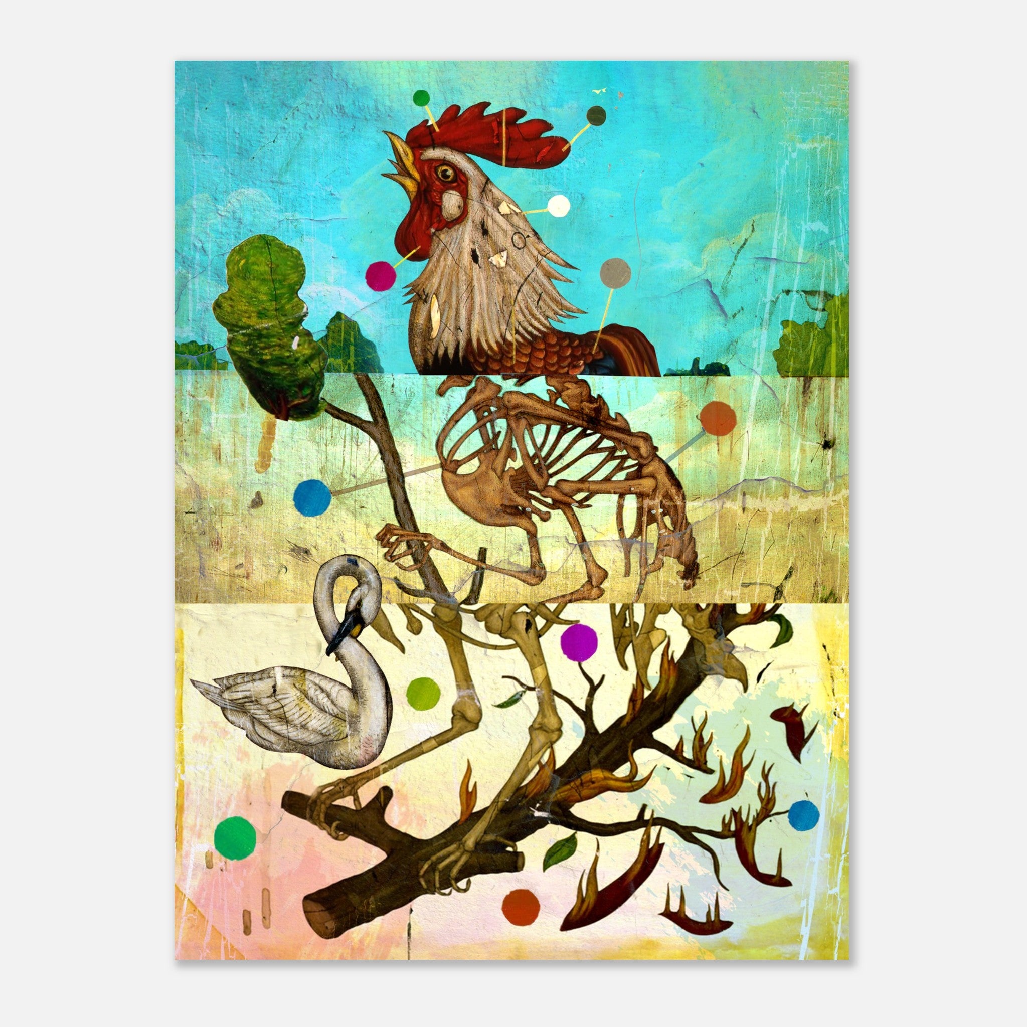 Exquisite Cockerel: Bob Holmes