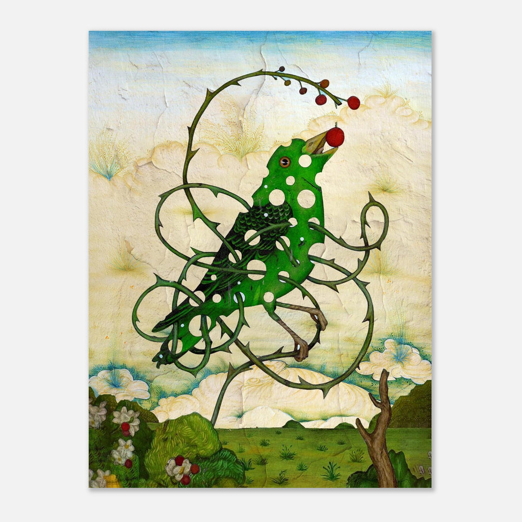 Green Thornbird Filling a Hole Artwor: Bob Holmes
